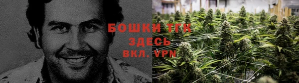 первитин Абинск